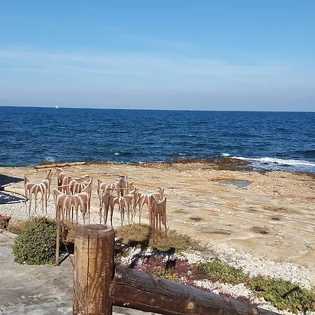 Estrella Blanca 2